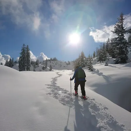 Weidinghof Διαμέρισμα