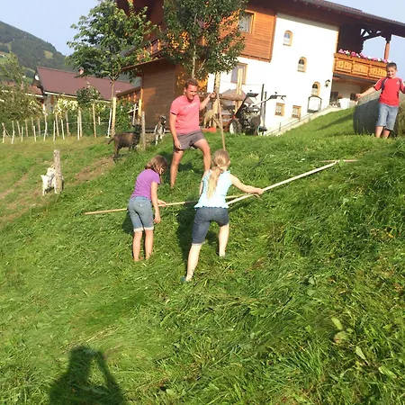 Διαμέρισμα Weidinghof *